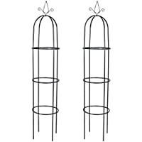 Los mejores  - vidaXL Arco de jardín de Torre 2 Piezas